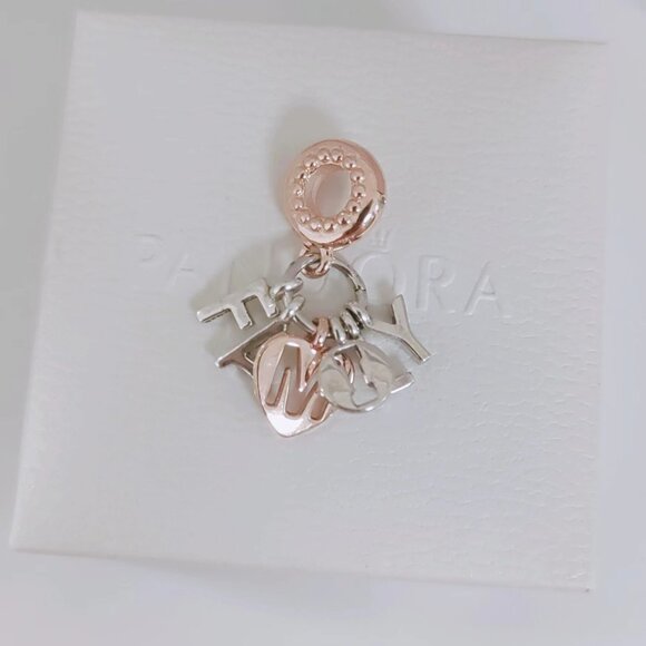 Pandora Family Letters Dangle Charm Bracelet Pendant S925 Silver with box - Picture 3 of 5